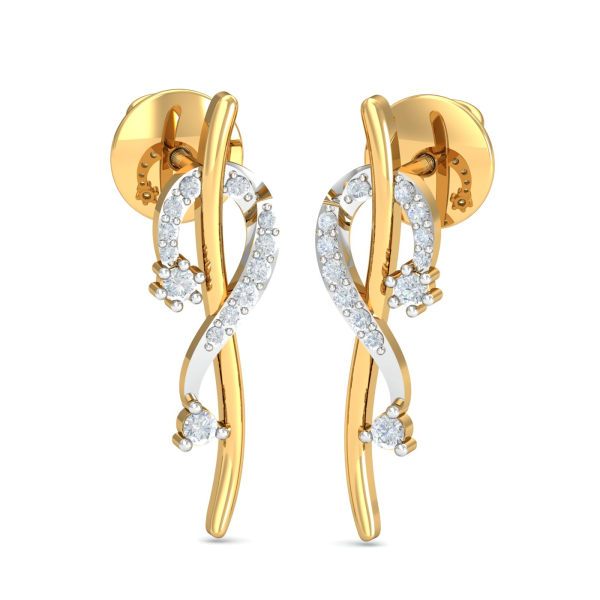 Stylish Curvy Earrings