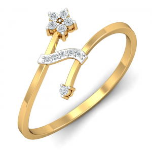 Stellar Stream Ring