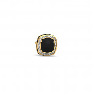 Ashn Onyx Stud For Men