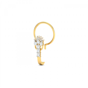 Aurora Nose Wire