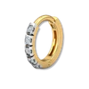 Nose Pins Image