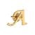 Customized Men's Earring